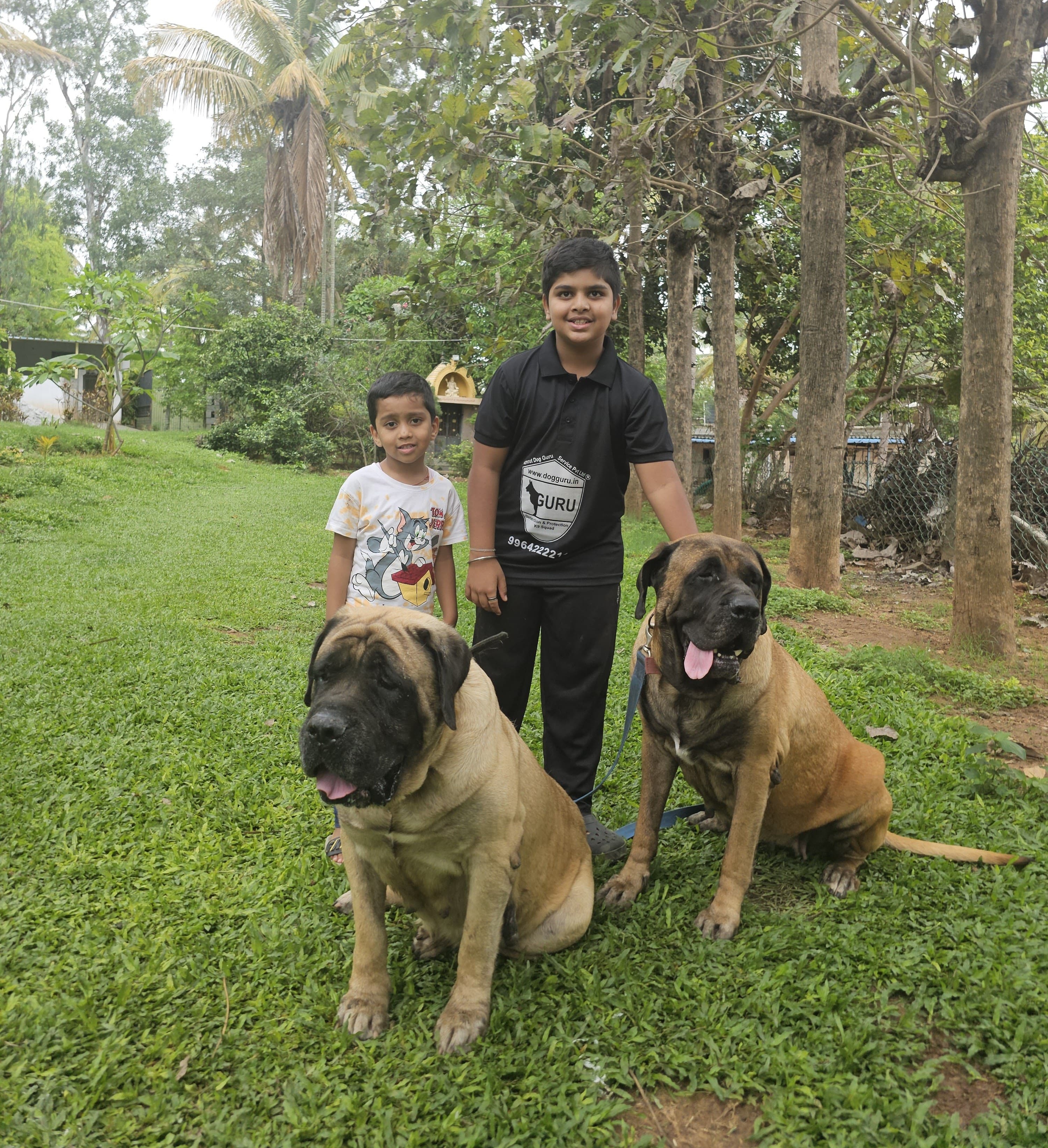 Puppy Care