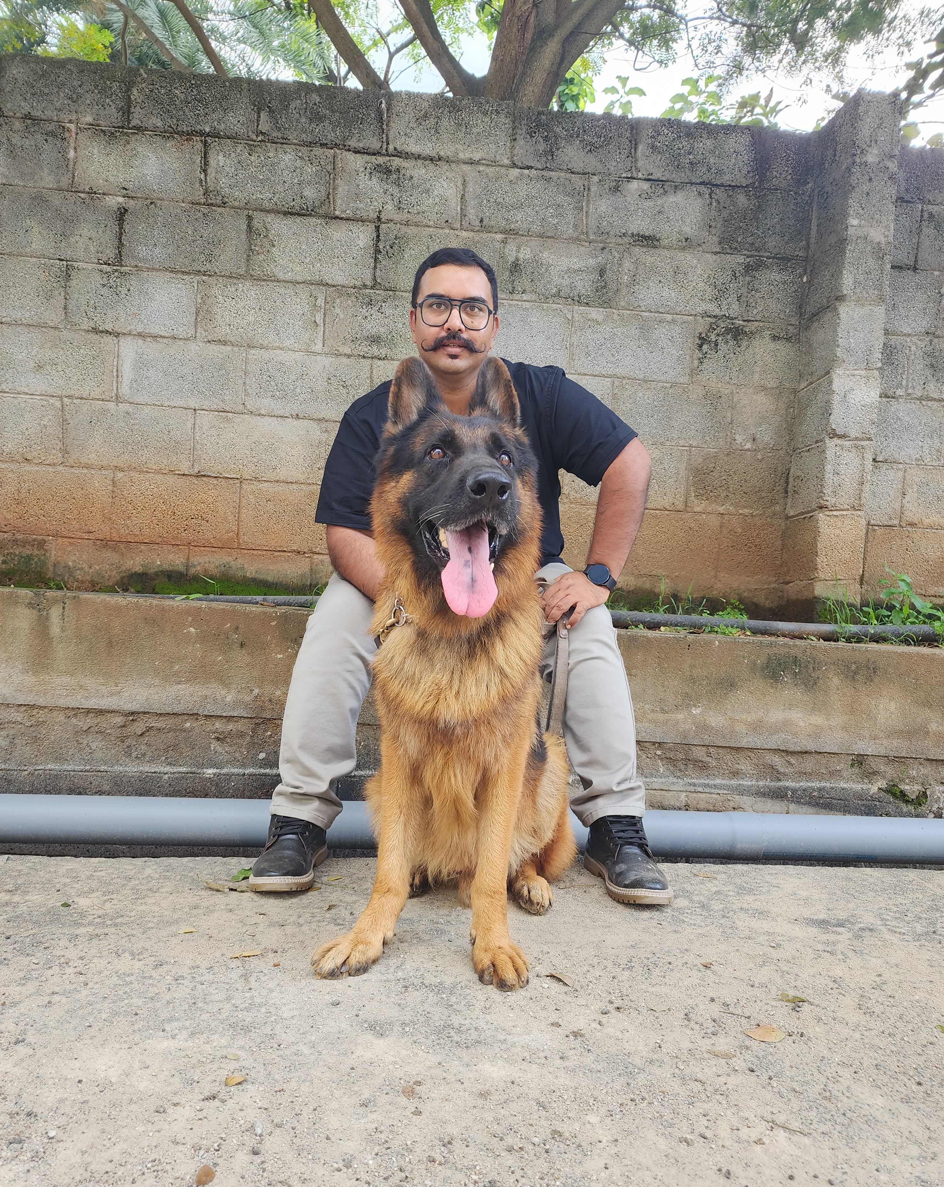 Canine Consultation